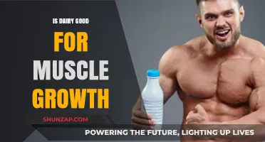 Dairy and Muscle Growth: Benefits, Myths, and Optimal Consumption Tips