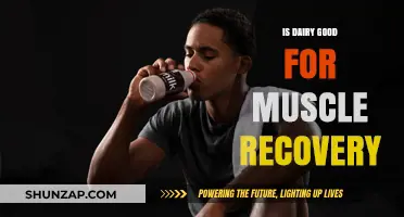 Dairy's Role in Muscle Recovery: Benefits, Myths, and Best Practices