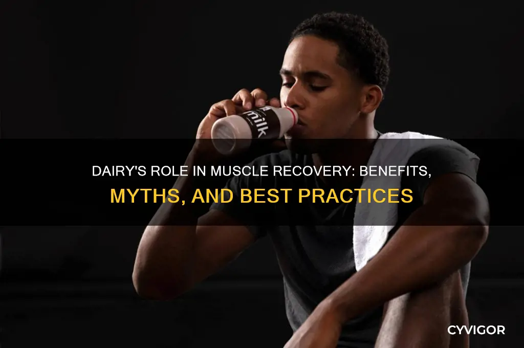 is dairy good for muscle recovery