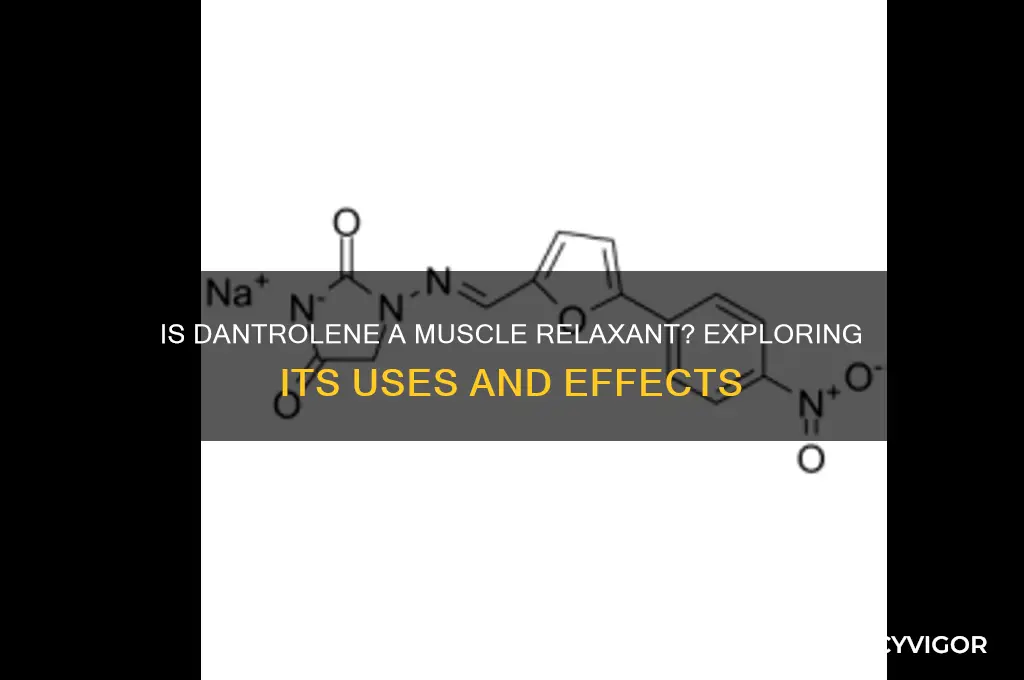 is dantrolene a muscle relaxant
