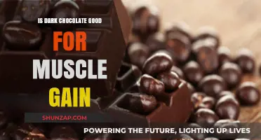 Dark Chocolate and Muscle Gain: A Sweet Boost for Fitness?