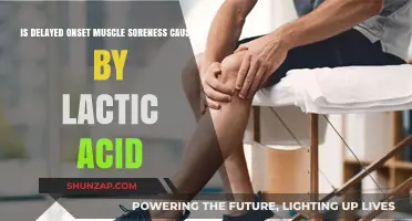 Lactic Acid: The Real Cause of Delayed Onset Muscle Soreness?