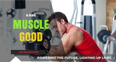Dense Muscle: Benefits, Myths, and Optimal Training Strategies Explained