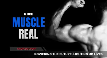 Dense Muscle: Fact or Fiction?