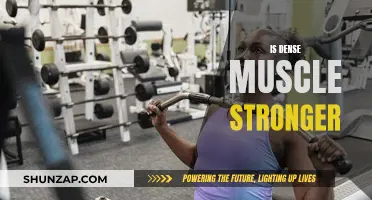 Dense Muscle: Is It Stronger?
