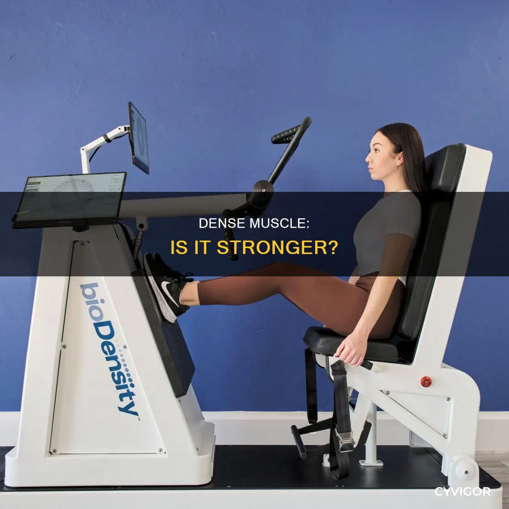 is dense muscle stronger