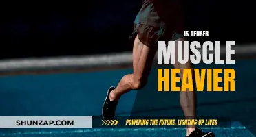 Muscle Density and Weight: What's the Relationship?