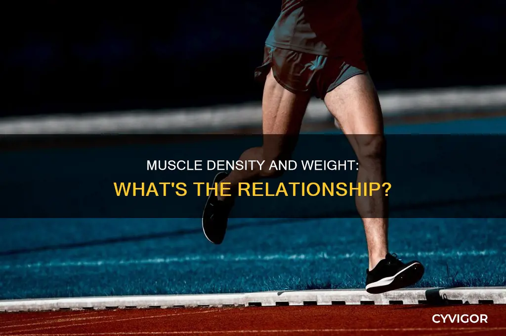 is denser muscle heavier