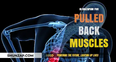 Can Diazepam Help Relieve Pulled Back Muscle Pain? Expert Insights