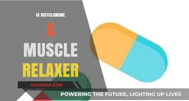 Is Dicyclomine a Muscle Relaxer? Exploring Its Uses and Effects