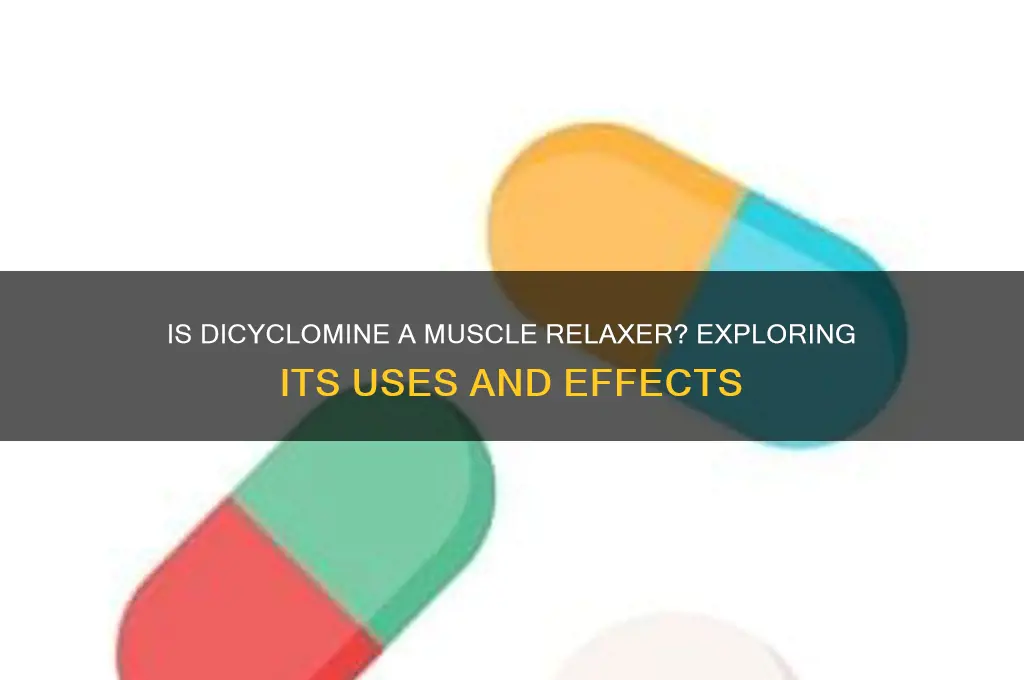 is dicyclomine a muscle relaxer