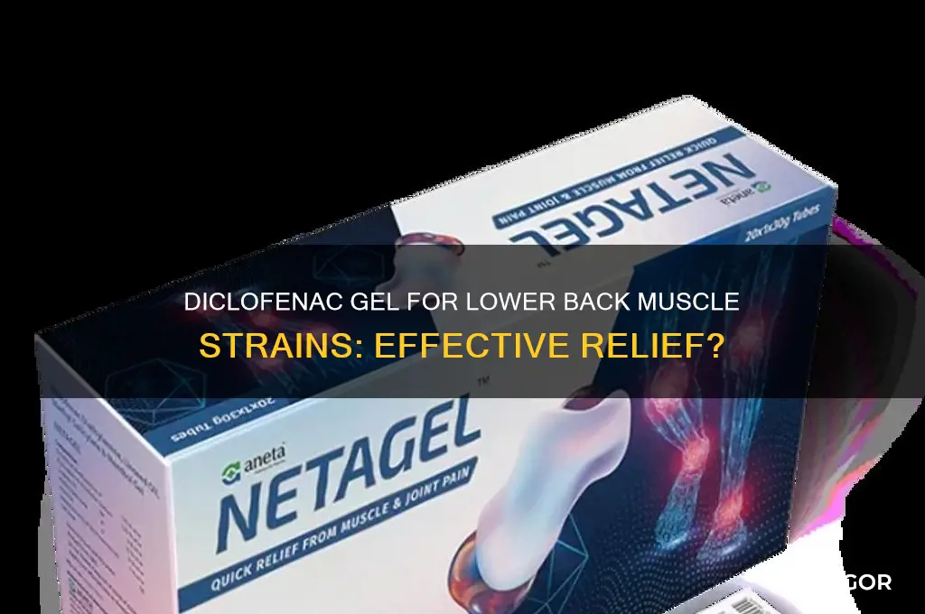 is diflenac gel good for lower back strains of muscles