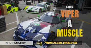 Dodge Viper: Muscle Car or Sports Car?
