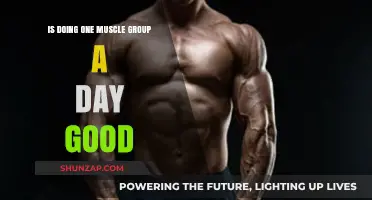Is One Muscle Group Per Day Optimal for Strength Training?