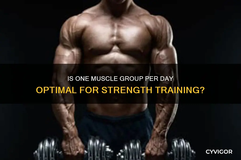 is doing one muscle group a day good