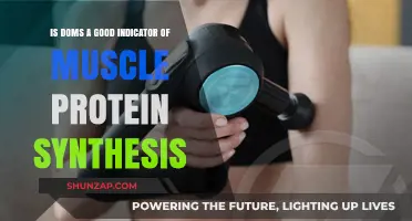 Is DOMS a Reliable Marker for Muscle Protein Synthesis?