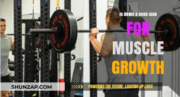 Is DOMS a Reliable Indicator of Effective Muscle Growth?
