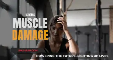 DOMS: Muscle Damage or Something Else?