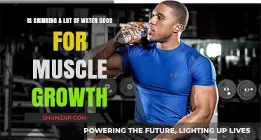 Hydration and Muscle Growth: How Much Water is Optimal?