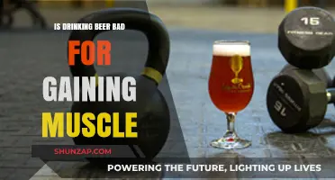 Beer and Muscle Gain: Debunking Myths for Fitness Enthusiasts