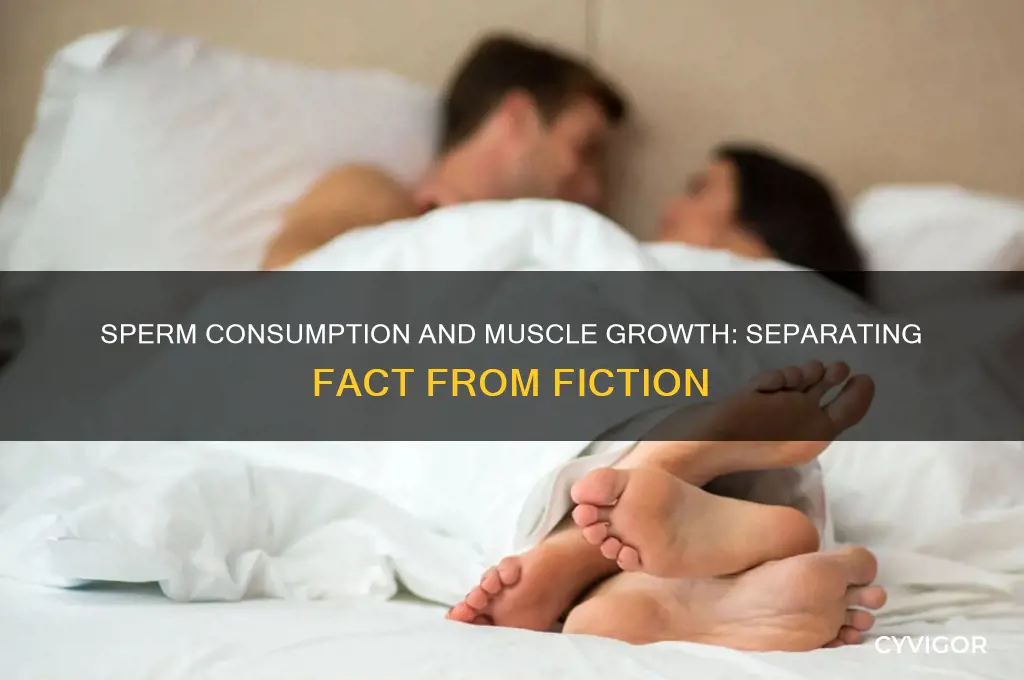 is drinking sperm good for muscle growth