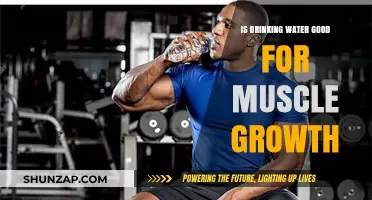 Hydration and Muscle Growth: The Essential Role of Water
