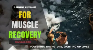 Hydration and Healing: How Water Boosts Muscle Recovery After Exercise