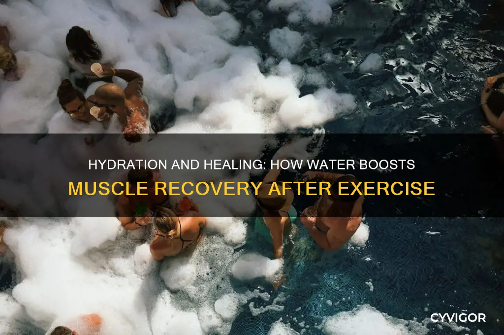 is drinking water good for muscle recovery