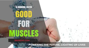 Hydration and Muscle Health: How Water Boosts Strength and Recovery