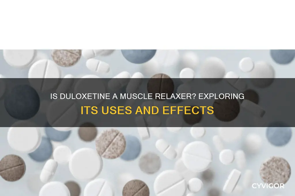 is duloxetine a muscle relaxer