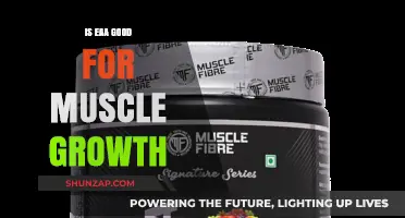 EAA for Muscle Growth: Benefits, Science, and Optimal Usage Explained