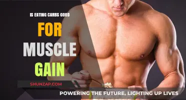 Carbs for Muscle Gain: Fueling Growth or Hindering Results?