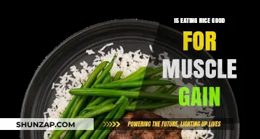 Rice for Muscle Gain: Benefits, Myths, and Effective Strategies