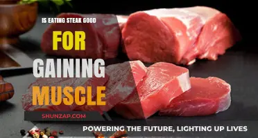 Steak and Muscle Gain: Unlocking Protein Power for Strength