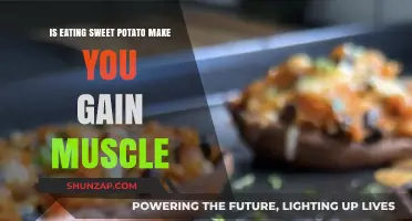 Can Sweet Potatoes Boost Muscle Gain? Nutrition Facts Revealed