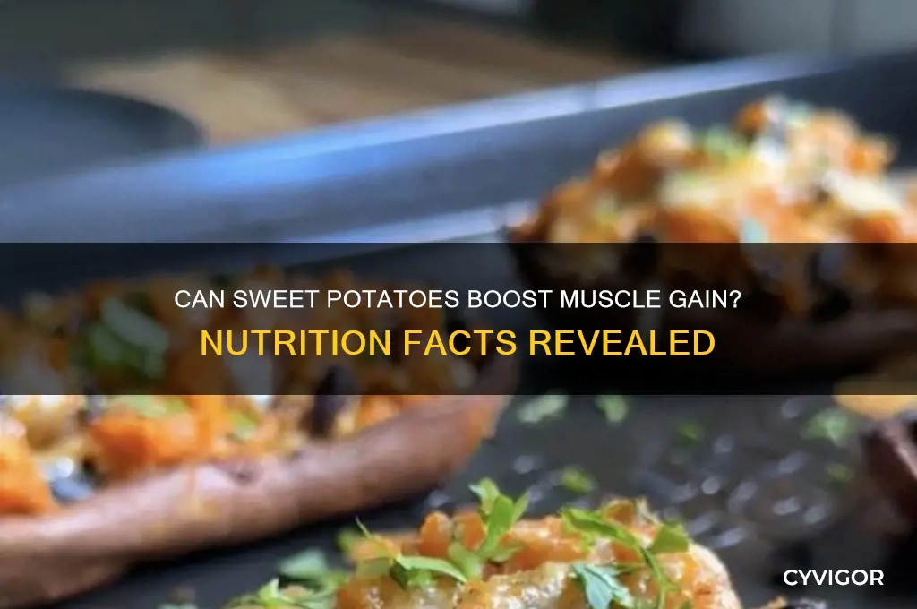 is eating sweet potato make you gain muscle