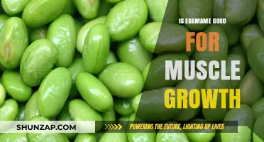Edamame for Muscle Growth: Benefits, Protein, and Recovery Explained