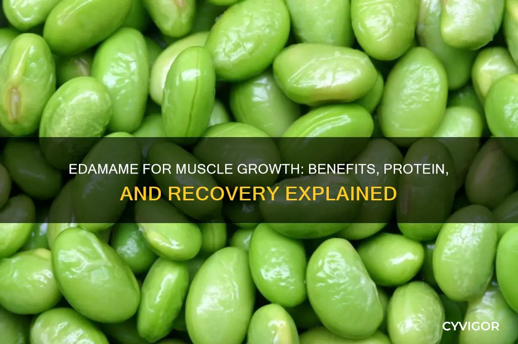 is edamame good for muscle growth