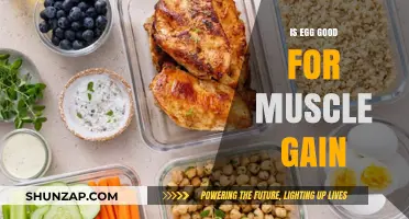 Eggs for Muscle Gain: Nutrition Benefits and Effective Strategies