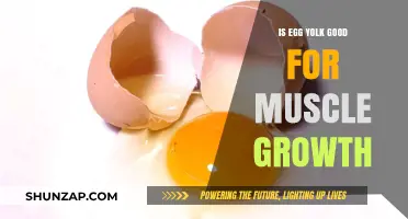 Egg Yolk Benefits: Boosting Muscle Growth and Recovery Naturally