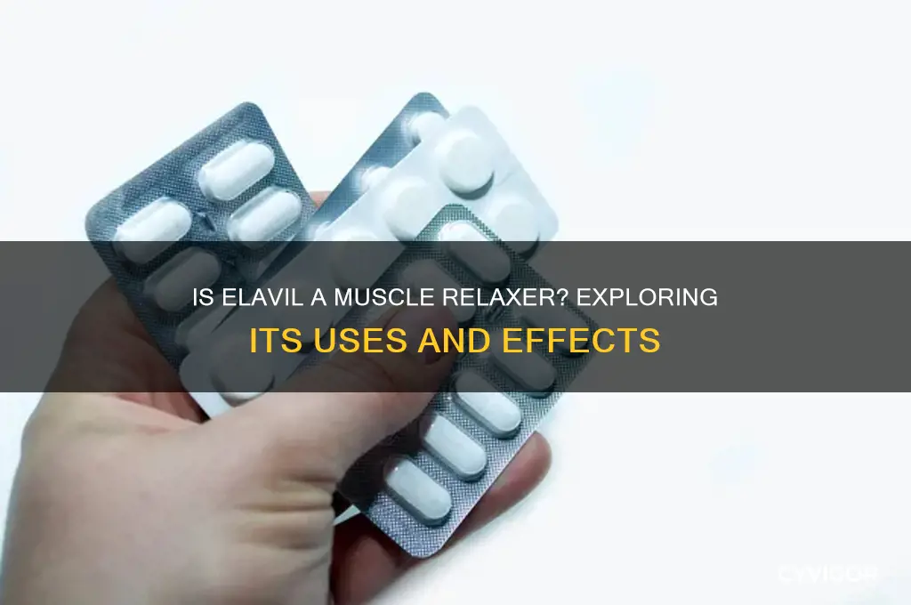 is elavil a muscle relaxer