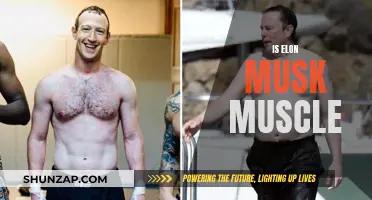 Musk's Physique: Exploring Elon's Fitness and Health