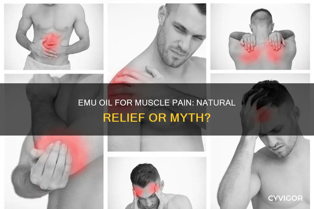 is emu oil good for muscle pain