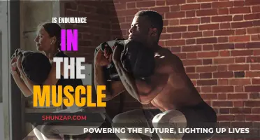 Endurance: Muscle Memory or Mind Over Matter?