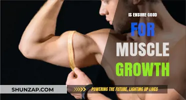 Is Ensure Effective for Muscle Growth? A Comprehensive Analysis
