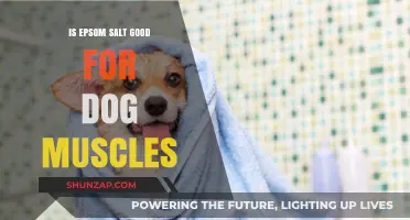 Epsom Salt for Dogs: Muscle Relief Benefits and Safe Usage Tips