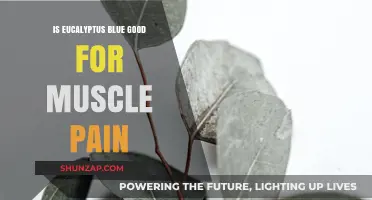 Eucalyptus Blue Essential Oil: Effective Natural Remedy for Muscle Pain?