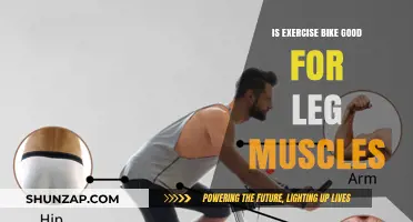 Exercise Bike Benefits: Strengthening Leg Muscles Effectively and Safely