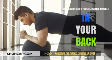 Exercise for Strained Back Muscles: Healing or Harmful?