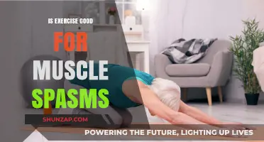 Exercise and Muscle Spasms: Benefits, Risks, and Effective Relief Strategies